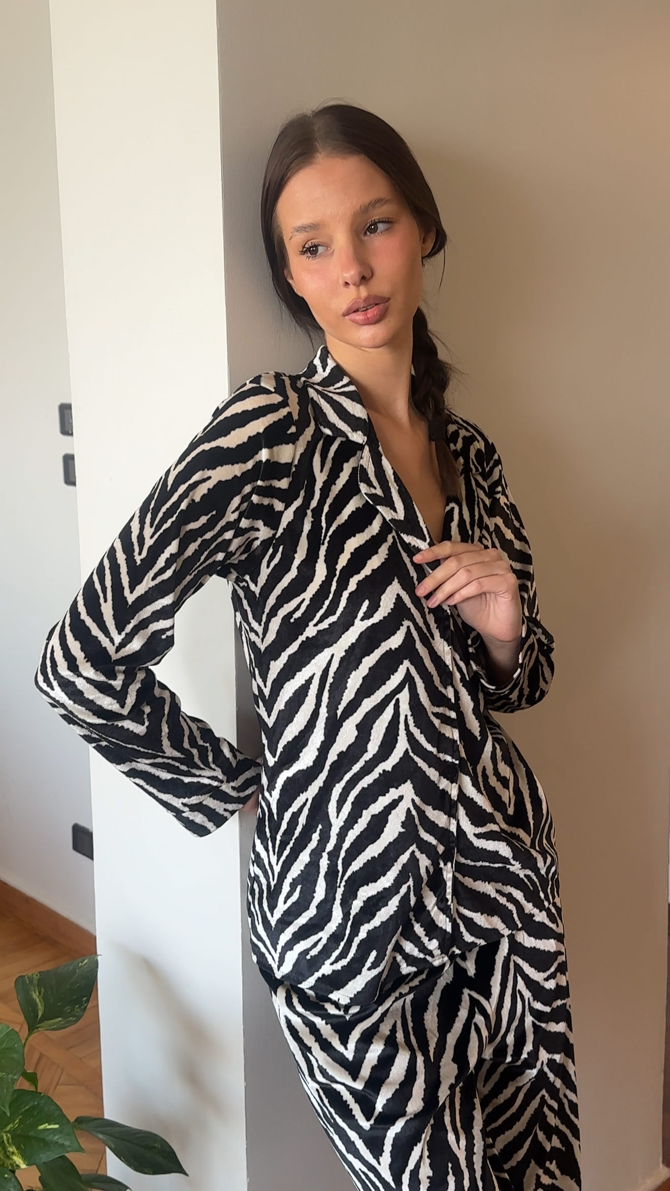 Zebra in French velvet