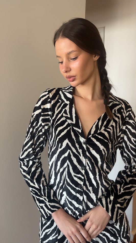 Zebra in French velvet